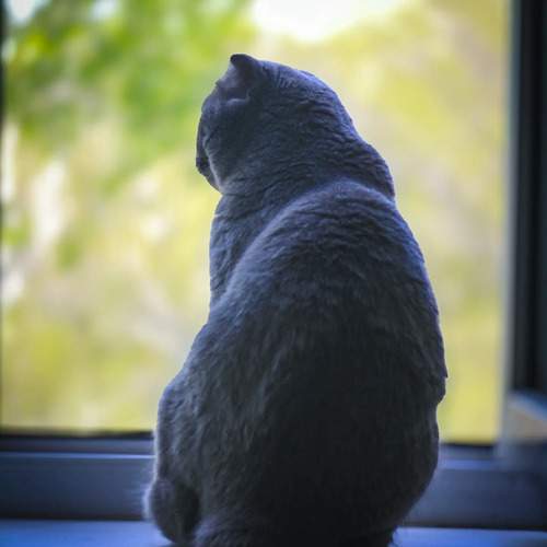 Photo #12223051