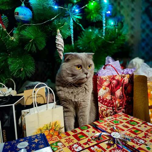 Photo #12223052