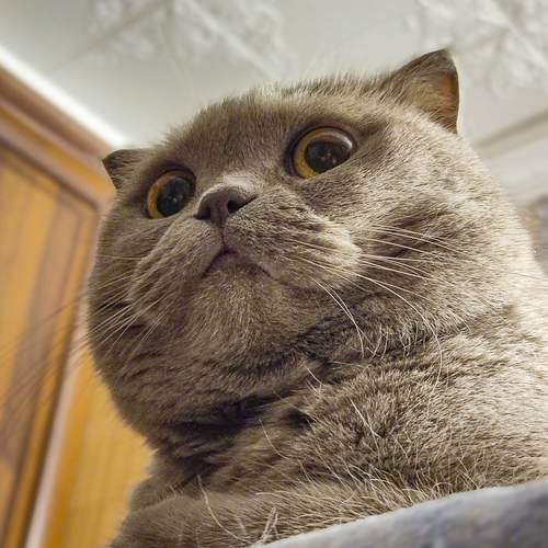Photo #12223053