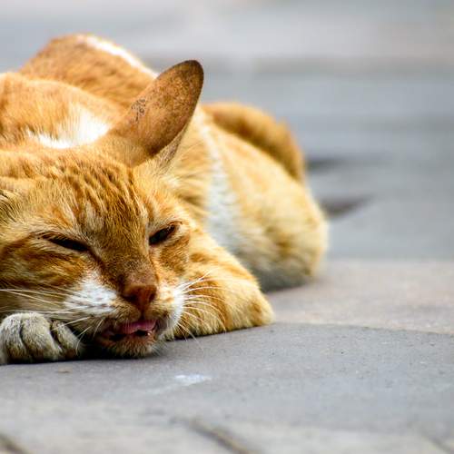 Comfort is priority
