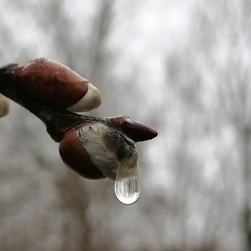 Photo #12223166