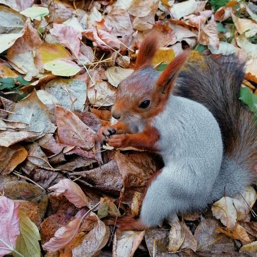 Photo #12223248