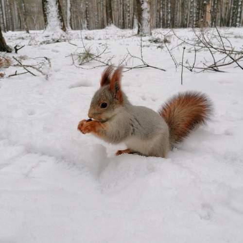 Photo #12223249