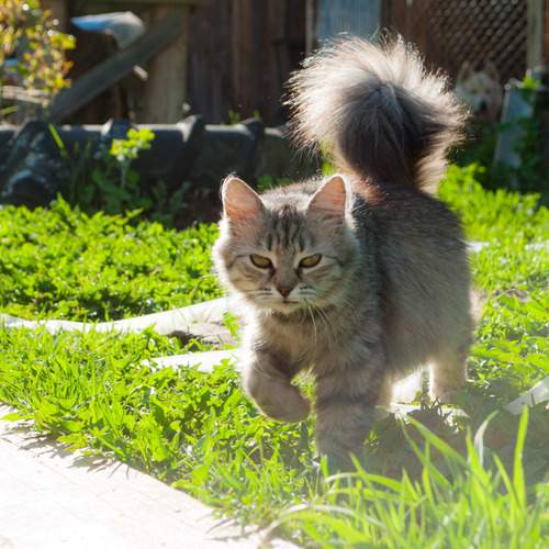 Photo #12223261