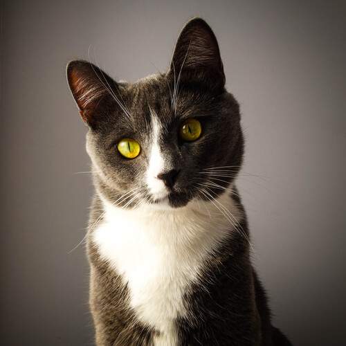 Photo #12223402