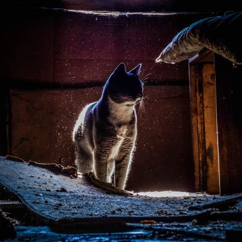 Photo #12223403