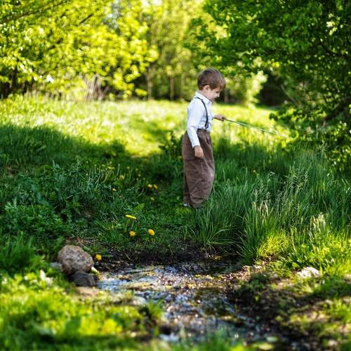 Photo #12223567
