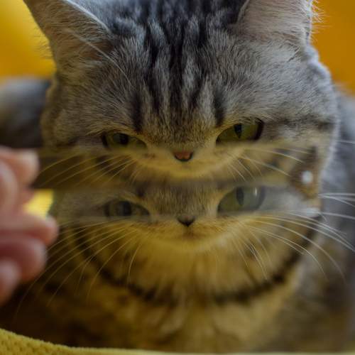 Photo #12223614