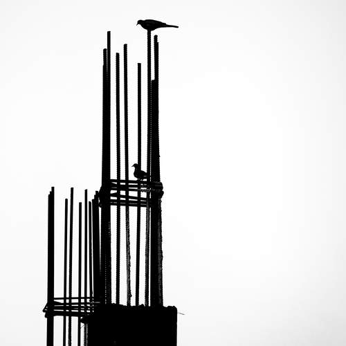 Photo #12223746