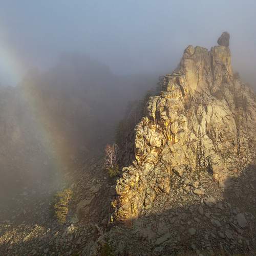 Photo #12223797