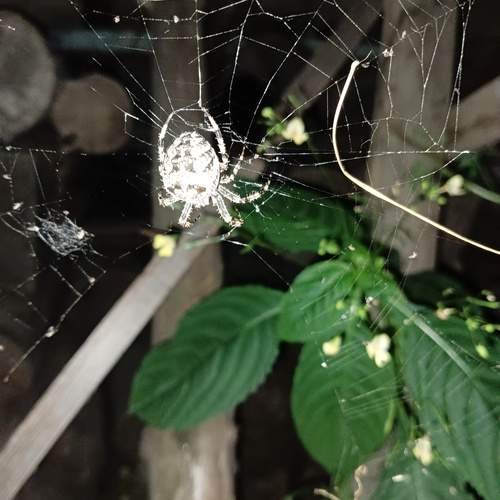 Photo #12223881
