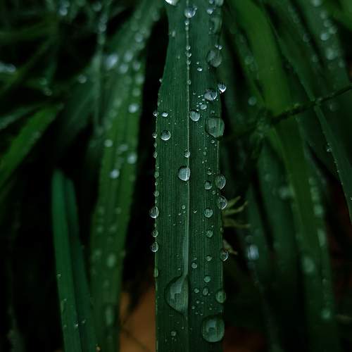 Photo #12223974