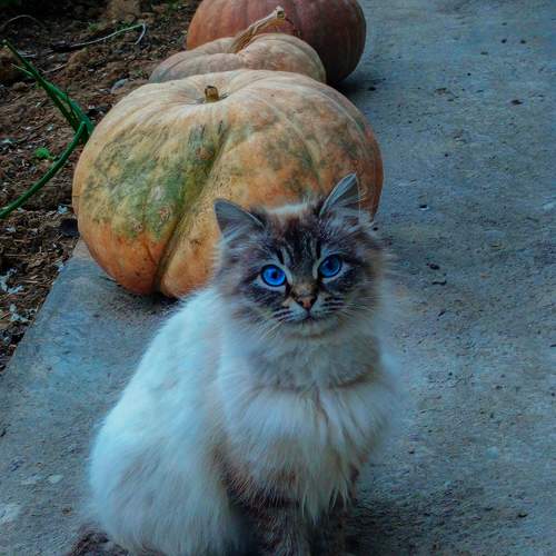 Photo #12223976