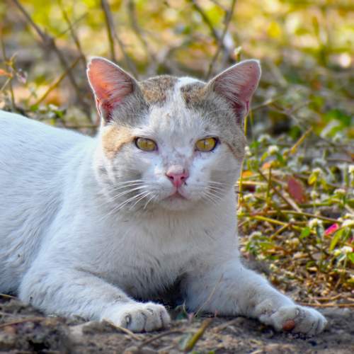Photo #12224123