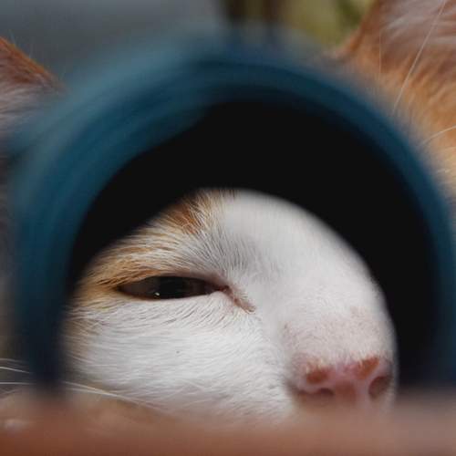 Photo #12224415