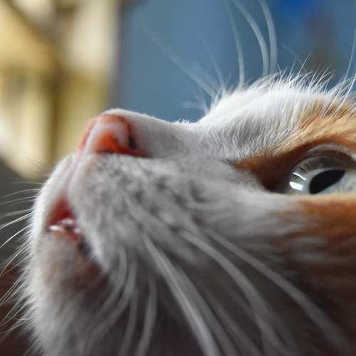 Photo #12224416