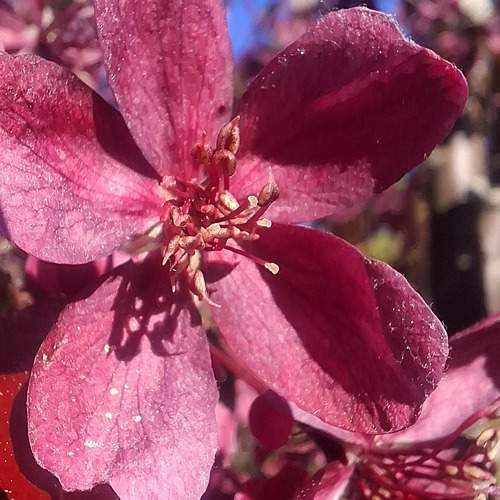 Photo #12224473