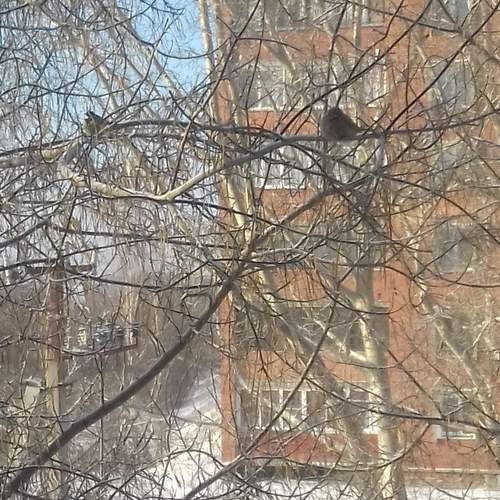 Photo #12224614