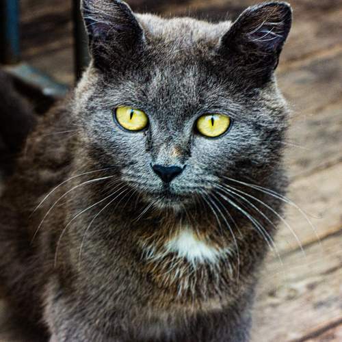 Photo #12224693