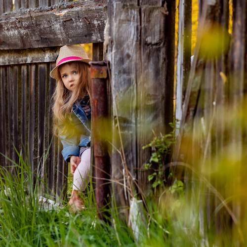 Photo #12224797