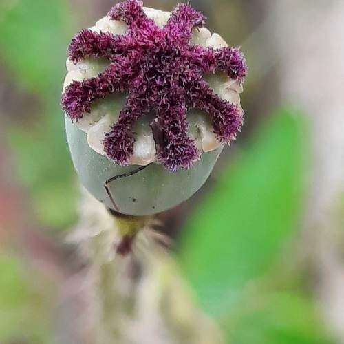 Photo #12224822