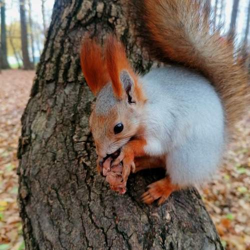 Photo #12225296