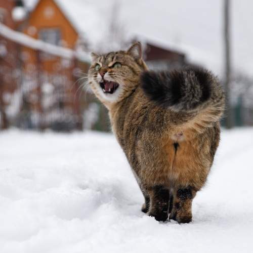 Photo #12225809