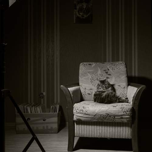 Photo #12225915
