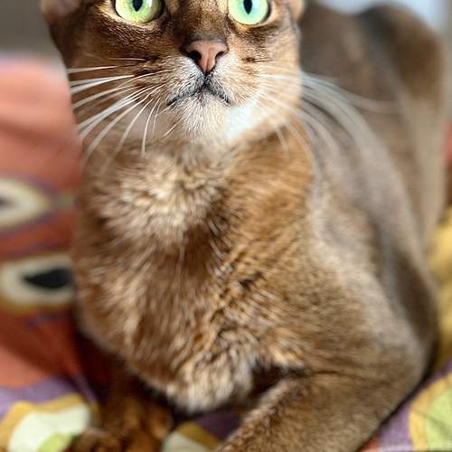 Photo #12226173