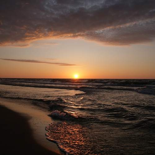 Photo #12226323