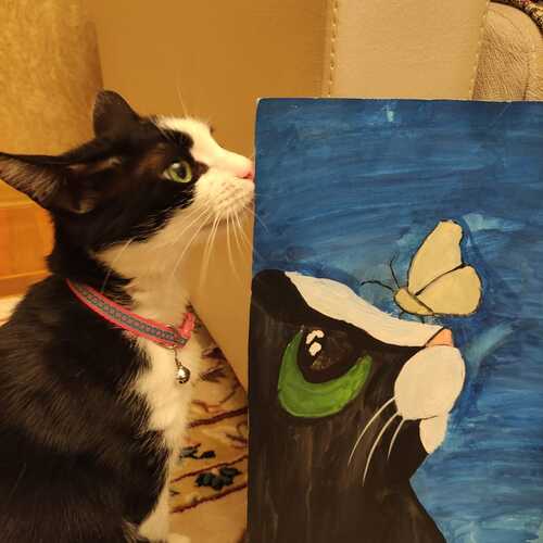 Photo #12226440