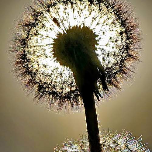 Photo #12226496
