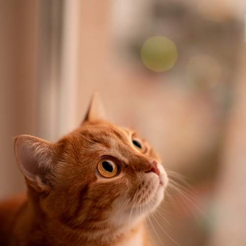 Фотография #12226557