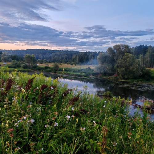 Photo #12226626