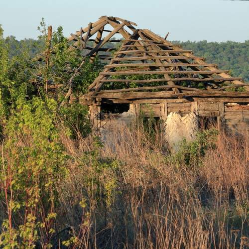 Photo #12226647