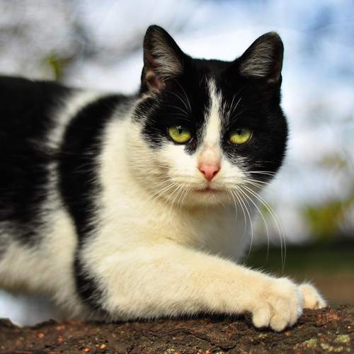 Photo #12226789