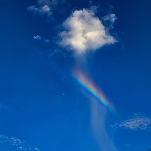 Photo #12226865