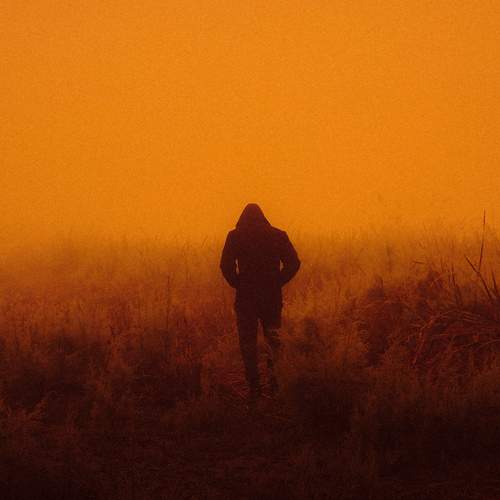 Photo #12227396