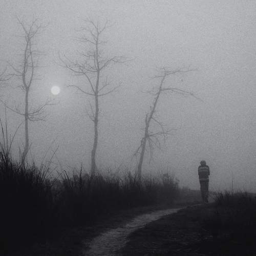 Photo #12227442