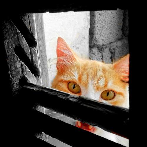 Photo #12227724