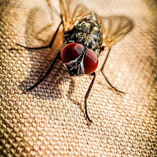 Photo #12227853