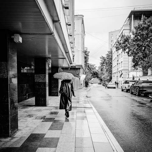 Photo #12228225