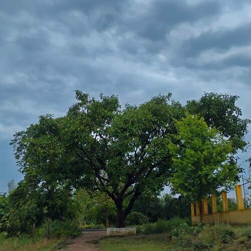 Photo #12228531
