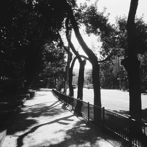 Photo #12228580