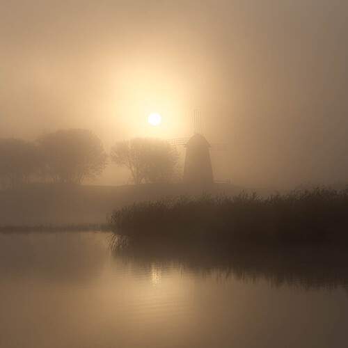 Photo #12228637
