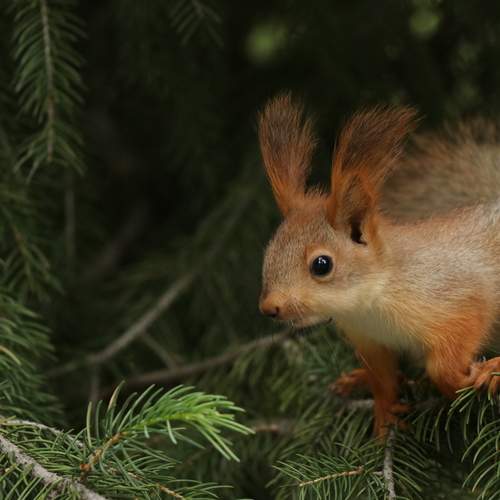 Photo #12228697