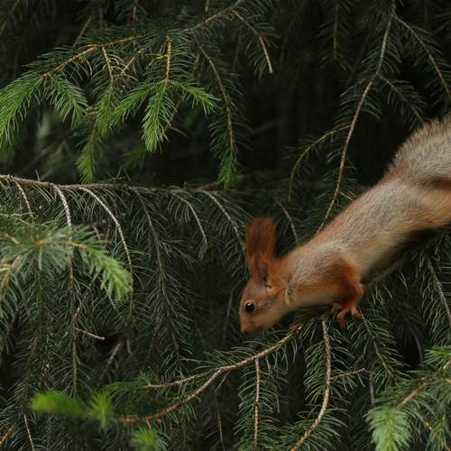 Photo #12228718