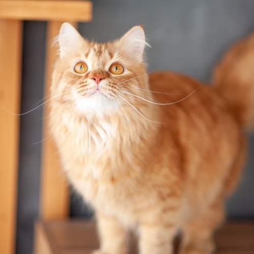 Photo #12228829
