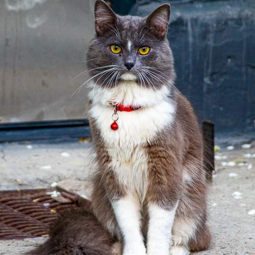 Photo #12228897