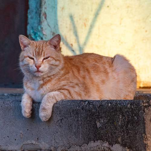 Photo #12228902